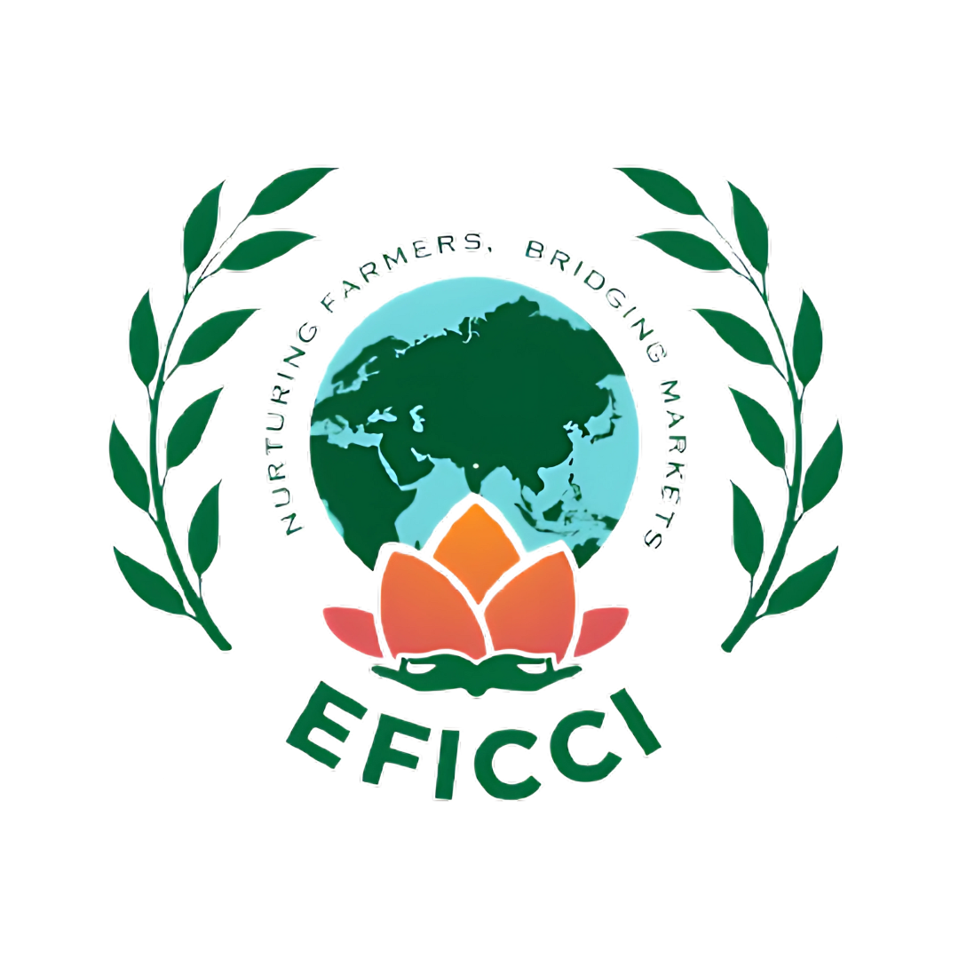 EFICCI